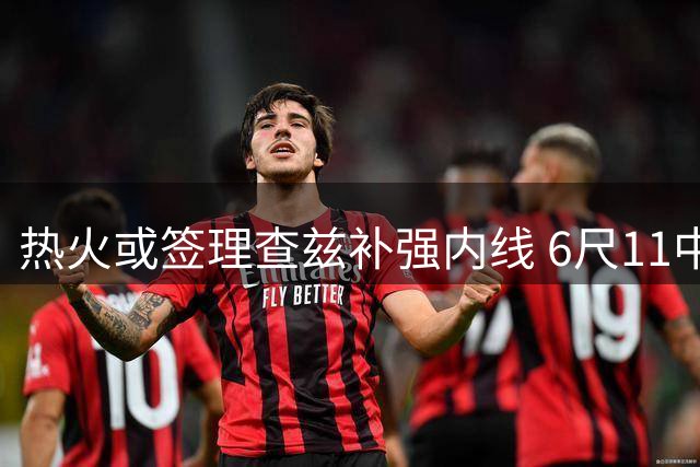 热火或签理查兹补强内线 6尺11中锋现身迈阿密训练营